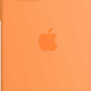 Apple - Case für Mobiltelefon - mit MagSafe - Silikon - Ringelblume - für iPhone 13 Pro Max (MM2M3ZM/A)
