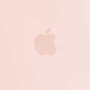 Apple Silikon Case mit MagSafe für iPhone 13 (kalkrosa)