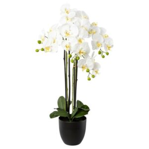 Orchidee weiß 83cm im Resintopf