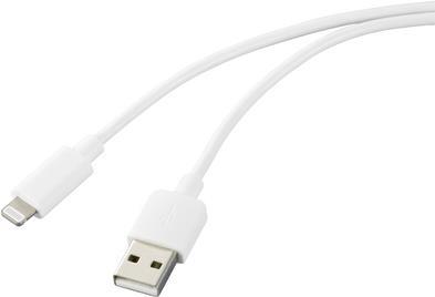 Apple iPad/iPhone/iPod Anschlusskabel[1x USB 2.0 Stecker A - 1x (RF-5233168)