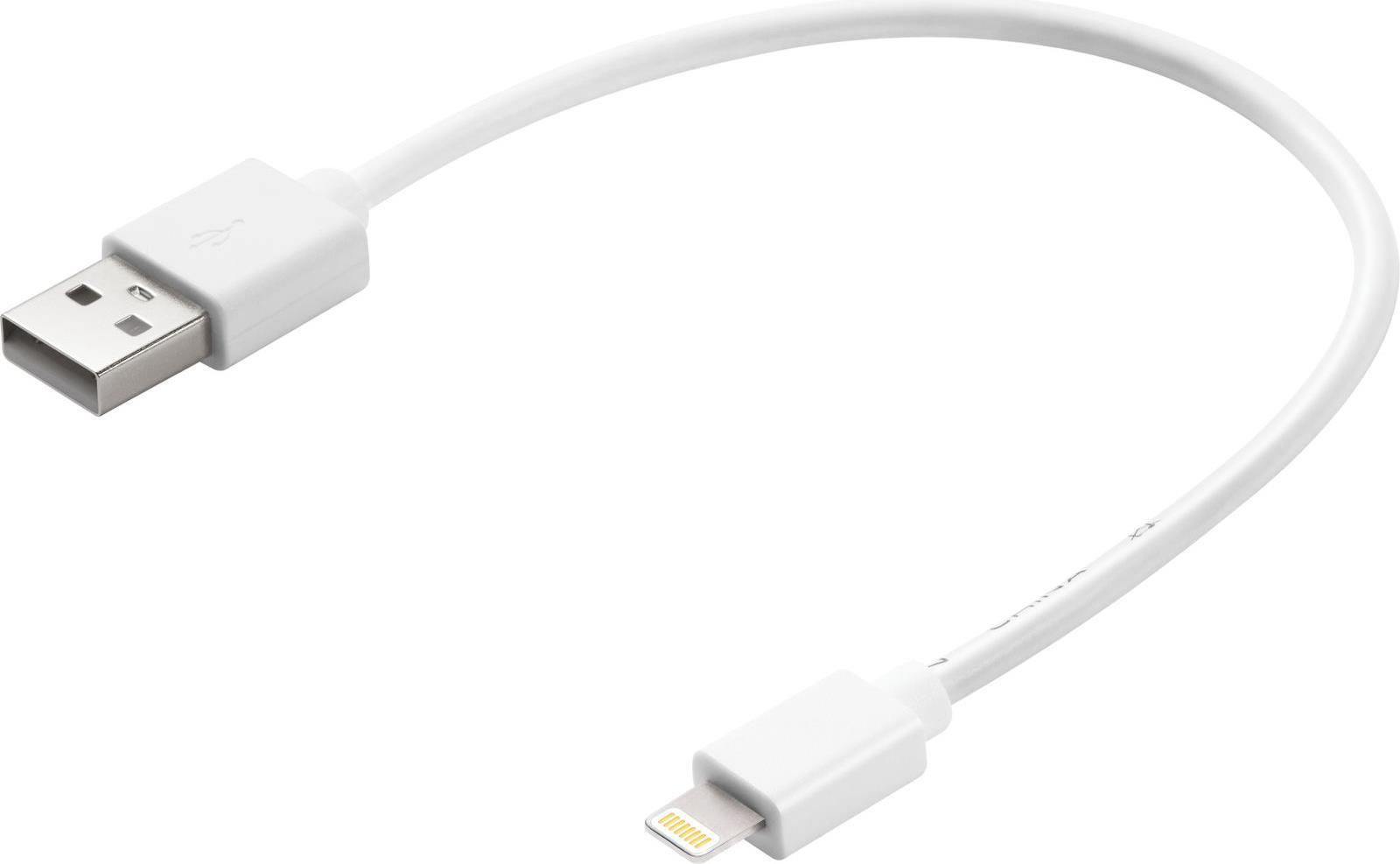 Sandberg – Lightning-Kabel – Lightning männlich zu USB männlich – 20 cm – für Apple iPad/iPhone/iPod (Lightning)